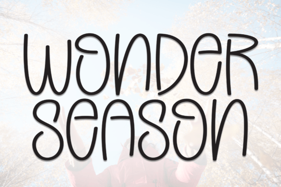 Wonder Season: The Font That Elevates Your Campaigns